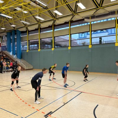 Volleybärenbande 2.0